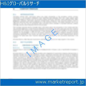 市場と産業調査レポートのイメージ